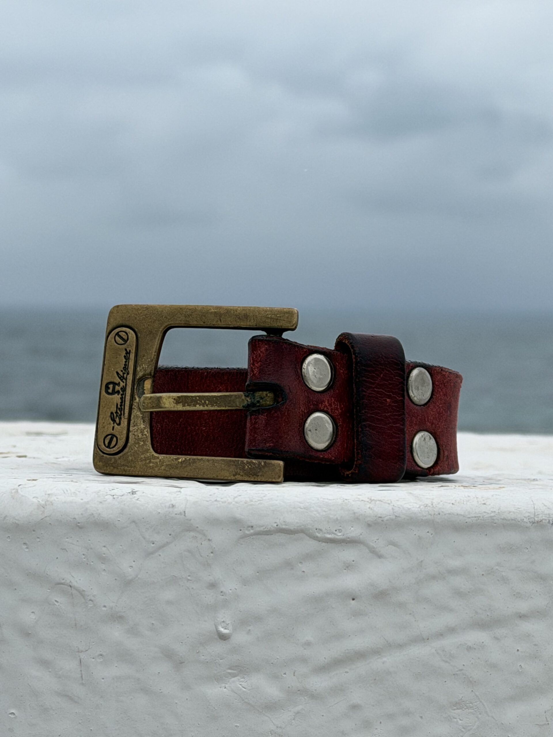 Ceinture Etienne Aigner